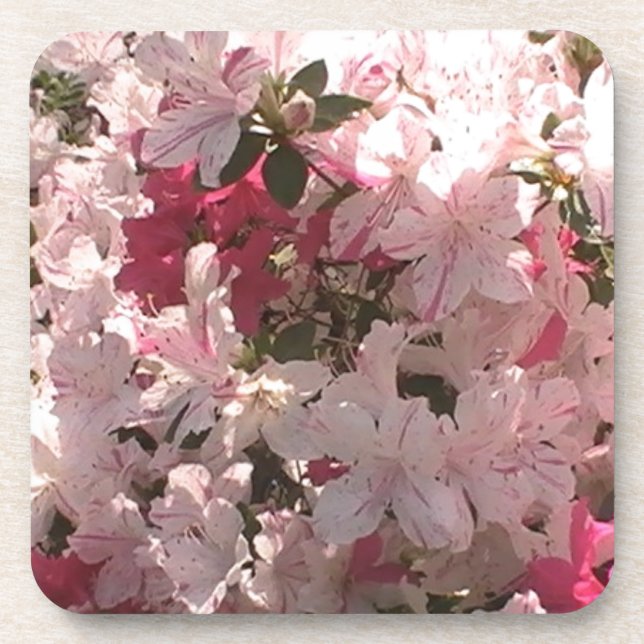 Rosa Azalea Untersetzer (Vorderseite)