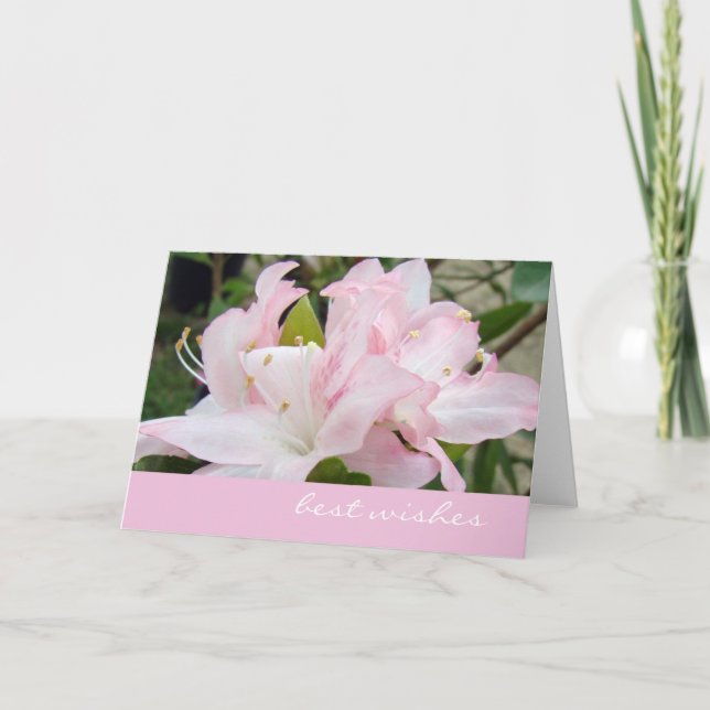 Rosa Azaleen Grußkarte Karte (Vorderseite)
