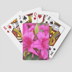 rosa Azaleenblüten, 杜鹃花 Spielkarten