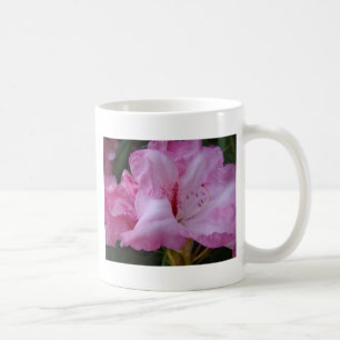 ROSA AZALEENBLÜTEN 29 Azaleen Karten Geschenke Tas Kaffeetasse