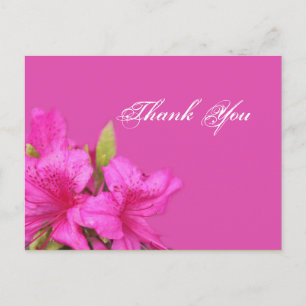 Rosa Azaleenblüten Danke Postkarten