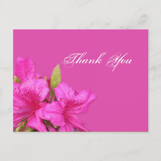 Rosa Azaleenblüten Danke Postkarten (Vorderseite)