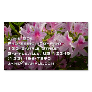 Rosa Azaleenstrauch Frühlingsblumen Magnetische Visitenkarte