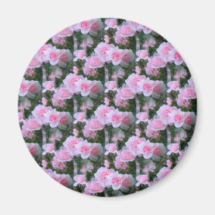 Rosa Babys..... Magnet