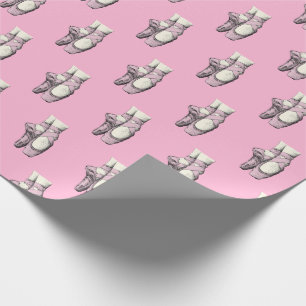 Rosa Ballerinaschuhe En Pointe FL CC Rosa BG Geschenkpapier