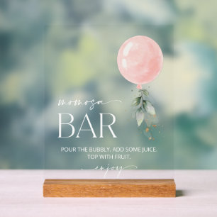 Rosa Ballon, Eukalyptus, Grüne, Momosa Bar Acrylschild
