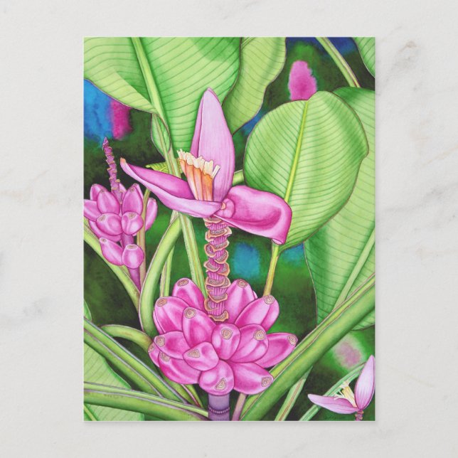 Rosa Bananen Postkarte (Vorderseite)