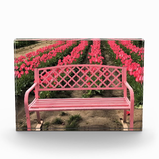 Rosa Bank mit rosa Tulpen Fotoblock (Vorderseite)