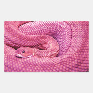Rosa Basilisk-Klapperschlange Rechteckiger Aufkleber
