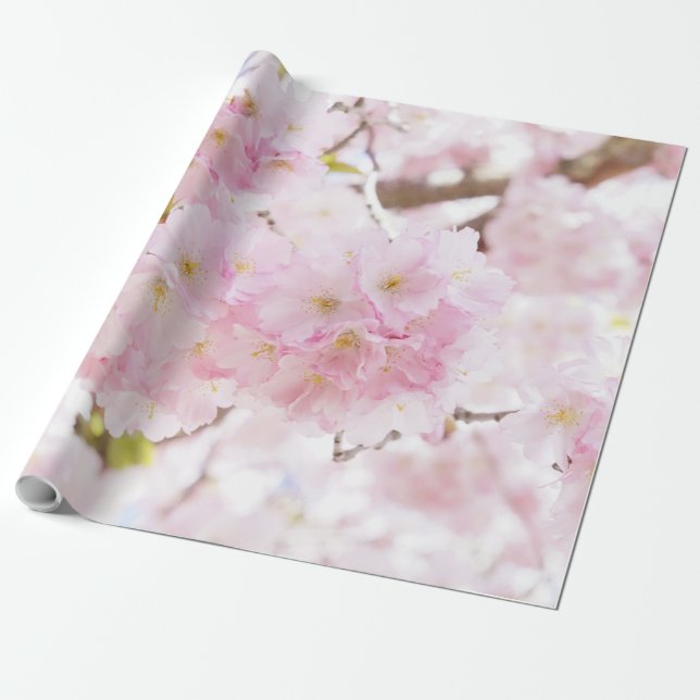 Rosa Baum-Kirschblüte-Kirschblüte Geschenkpapier (Ungerollt)
