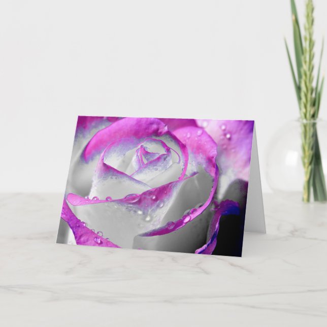Rosa Beauty-Rose Karte (Vorderseite)
