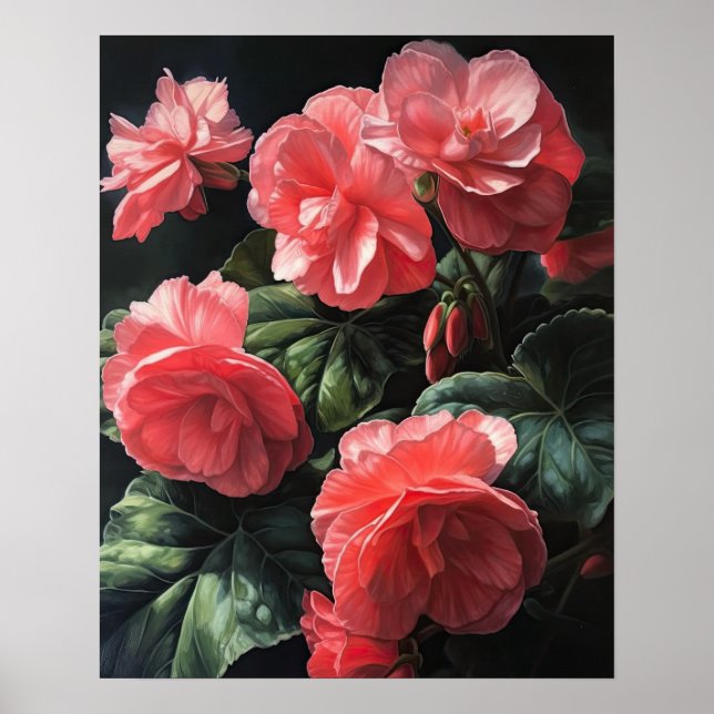 Rosa Begonia Blume Art Print Poster (Vorne)