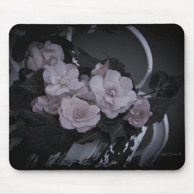 Rosa Begonias auf der Bank - Mousepad (Vorne)