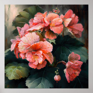 Rosa Begonias Blume Art Print Poster