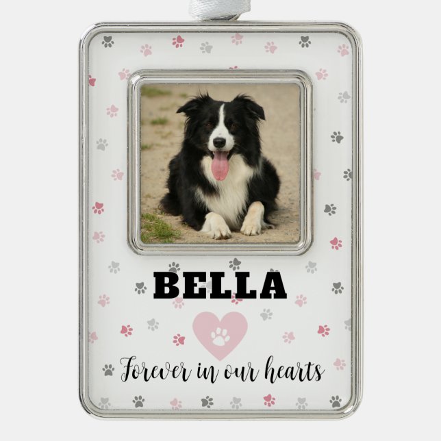 Rosa Beileid Hund Foto Gedenkstätte Rahmen-Ornament Silber (Vorderseite)