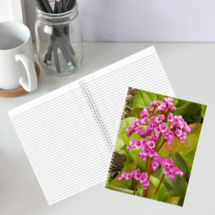 Rosa Bergenia-Blumen Blumen Notizbuch