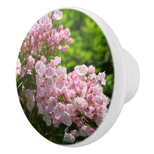 Rosa Berglorbeerblüten Keramikknauf