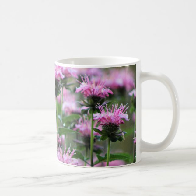 Rosa Bienen-Balsam, Monarda Kaffeetasse (Rechts)