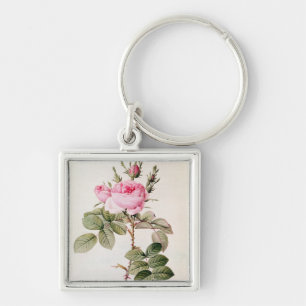 Rosa Bifera Officinalis, von 'Les Rosen Schlüsselanhänger