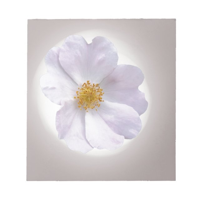 rosa bis lila notizblock (Vorderseite)