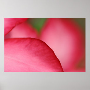 Rosa Blatt Poster