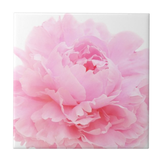 Rosa Blätter Fliese (Vorderseite)