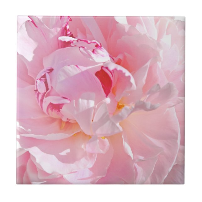Rosa Blätter Fliese (Vorderseite)