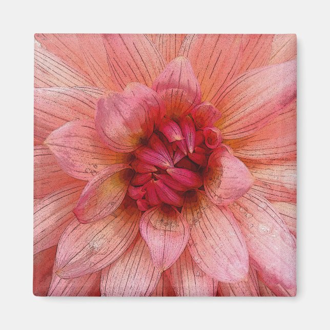 Rosa Blätter Magnet (Vorne)