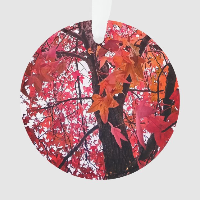 Rosa Blätter Ornament (Vorderseite)