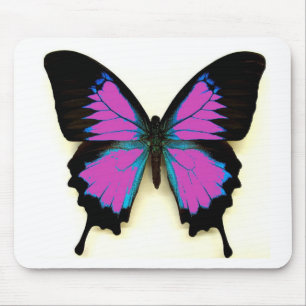 Rosa, blauer und schwarzer Schmetterling Mousepad