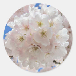 Rosa Blossom Balls. Runder Aufkleber