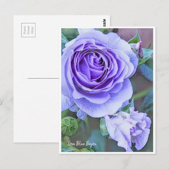 Rosa Blue Bajou Postkarte (Vorne/Hinten)