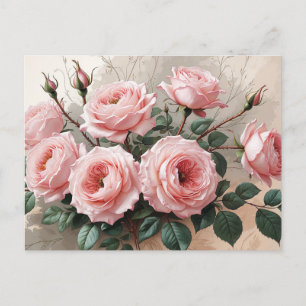 Rosa blühende Rose Postkarte