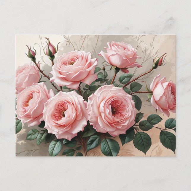 Rosa blühende Rose Postkarte (Vorderseite)