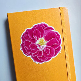 Rosa blühende Rose Sticker für botanische Kunst