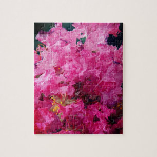 Rosa Blume