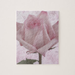 Rosa-Blume