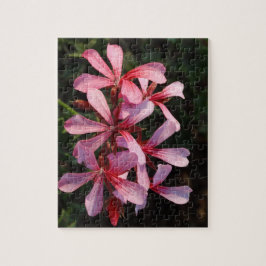 Rosa Blume 8x10 Foto Puzzle mit Geschenkboxen