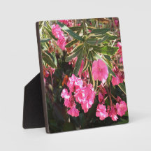 Rosa Blume auf dem Baum
