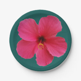 rosa Blume auf dunkelgrünem Pappteller