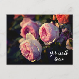 Rosa Blume aus dem Garten werden bald gut. Postkarte