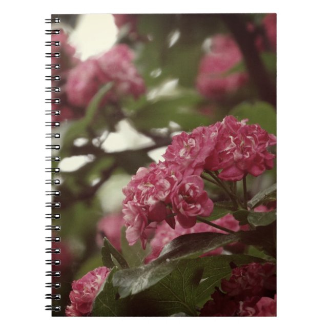 Rosa Blume Blosoom Foto Notebook (80 Seiten B&W) Notizblock (Vorderseite)