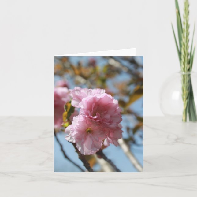 Rosa Blume blüht Feiertagskarte (Vorderseite)