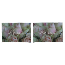 Rosa Blume Blumenfotografie Romantische