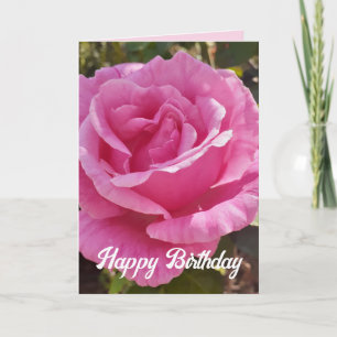 Rosa Blume Blumenkarte Rose Karte