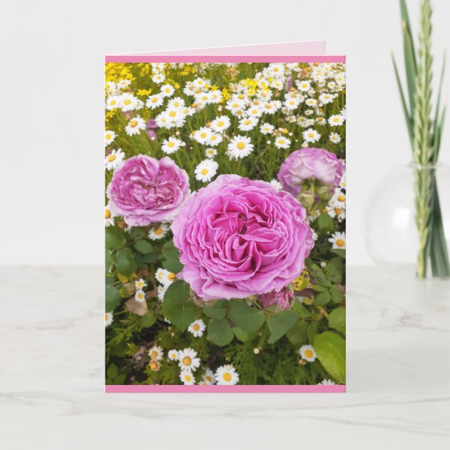 Rosa Blume Blumenladen Rose Daisy Greetings Karte (Vorderseite)
