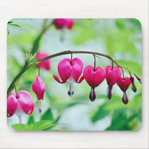 Rosa Blume Blutungen Herz Hübsch Elegant Mousepad