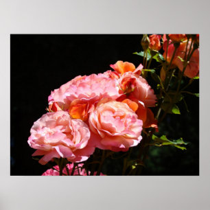 Rosa Blume Bouqet Poster druckt Blumenmuster