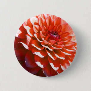 Rosa Blume Button