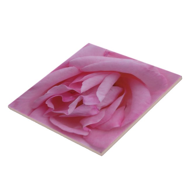 Rosa Blume Fliese (Seite)